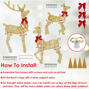 3 Pieces 2D Lighted Christmas Deer