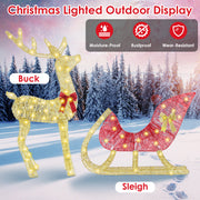 Lighted Christmas Reindeer & Sleigh Indoor Outdoor
