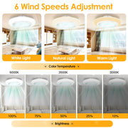 17.7" LED Ceiling Fan with Light