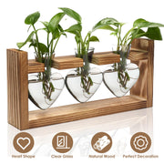 Plant Station with 3 Heart Shaped Vases