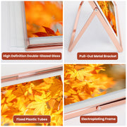2Pcs Rose Gold Floating Frames