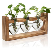 Plant Station with 3 Heart Shaped Vases