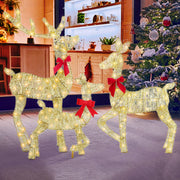 3 Pieces 2D Lighted Christmas Deer