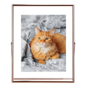 2Pcs Rose Gold Floating Frames