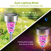 6-Pack Solar Pathway Garden Lights