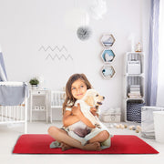 Soft Fluffy Area Rug – Non-Slip Backing