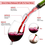 Attachable Wine Decanter Pour Spout