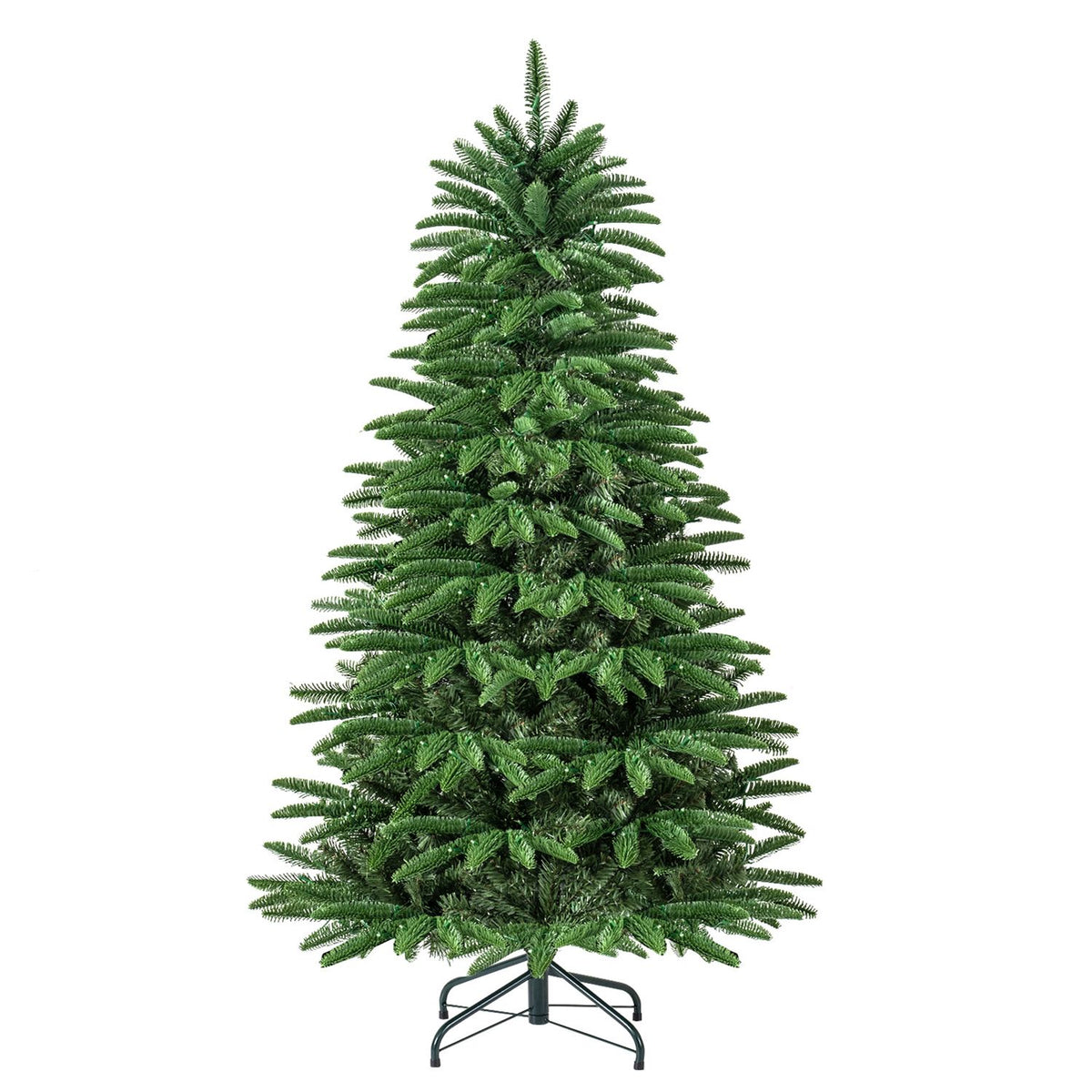 6 FT Pre