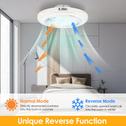 17.7" LED Ceiling Fan with Light