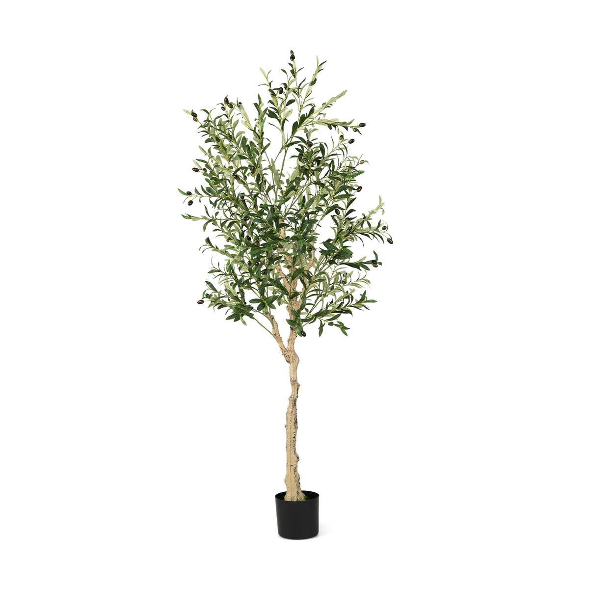 6 Feet Artificial Olive Tree in Cement Pot-1 Piece - 1 Piece