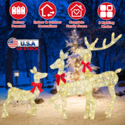 3 Pieces 2D Lighted Christmas Deer