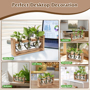 Plant Station with 3 Heart Shaped Vases