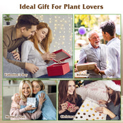 Plant Station with 3 Heart Shaped Vases