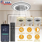 20.5in Ceiling Fan with Light