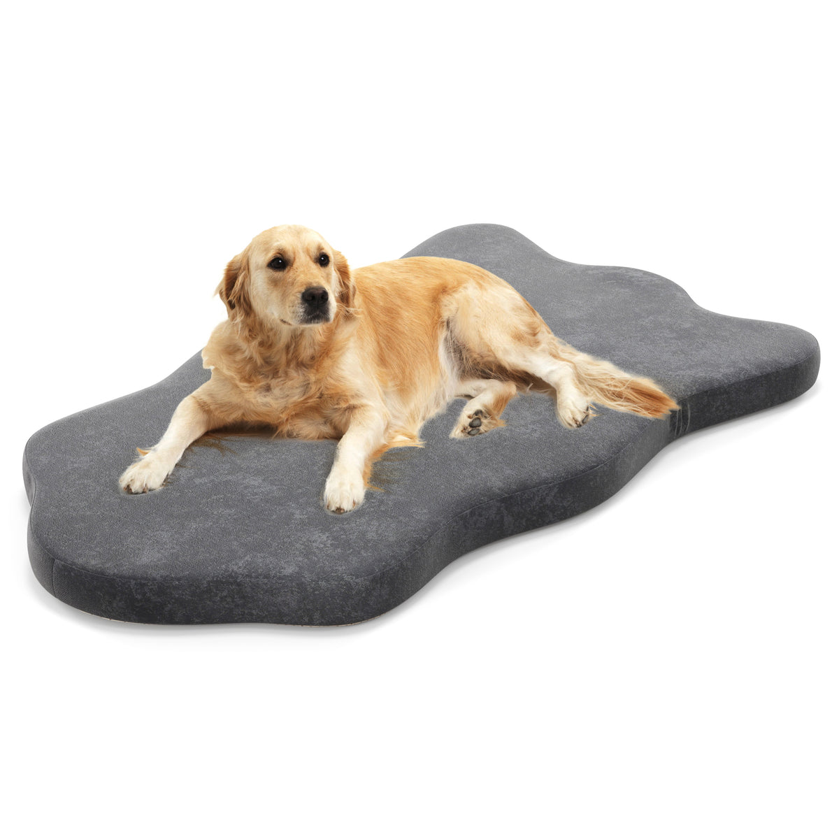 Orthopedic Dog Bed with Memory Foam Support for Large Dogs-Gray - Gray