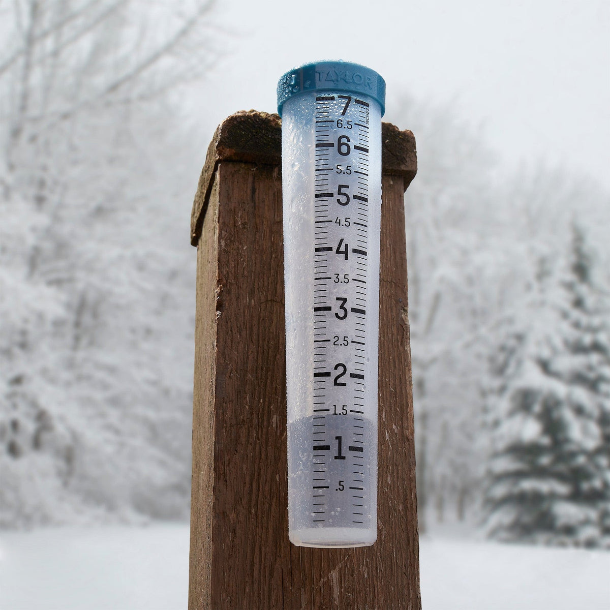 Taylor 7-In. Capacity Freeze-Proof Silicone Rain Gauge with Stake - view 6