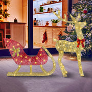 Lighted Christmas Reindeer & Sleigh Indoor Outdoor