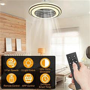 20.5in Ceiling Fan with Light