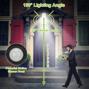 Solar Wall Light with Motion & Remote