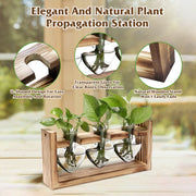 Plant Station with 3 Heart Shaped Vases