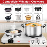 2000W Electric Infrared Dual Burner