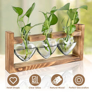 Plant Station with 3 Heart Shaped Vases