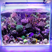 LED Aquarium Light Multi-Color