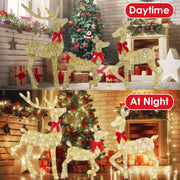 3 Pieces 2D Lighted Christmas Deer