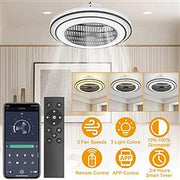 20.5in Ceiling Fan with Light