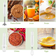 3-In-1 Immersion Hand Blender