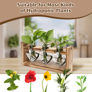 Plant Station with 3 Heart Shaped Vases