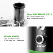 2 Speed Wide Mouth Fruit & Vegetable Electric Juicer