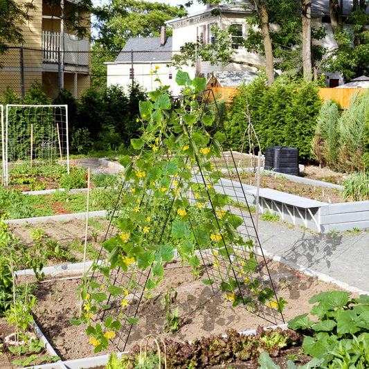 A-Frame Garden Trellis for Climbing Plant with Ground Stake and Cable Tie