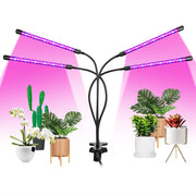 80W LED Grow Lights for Indoor Plants