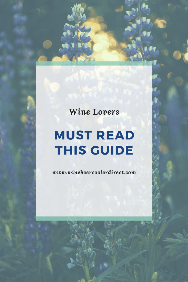Must Read This Guide If You Love Wine - Wine Beer Cooler Direct