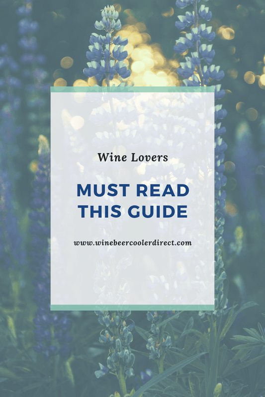 Must Read This Guide If You Love Wine - Wine Beer Cooler Direct