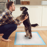 50Pcs/Set Dog Training Pads