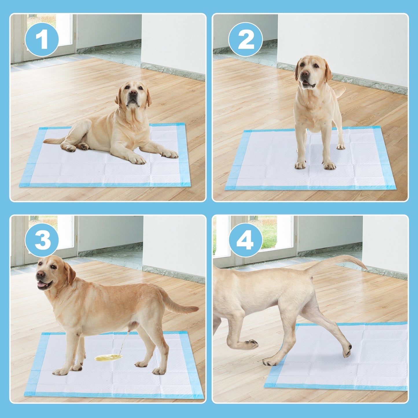 100 pieces 30 x 36 inch Pet Wee Pee Piddle Pad