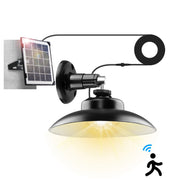 Indoor/Outdoor Solar Light, 3 Modes