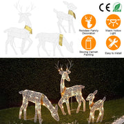 Lighted 2D Christmas Deer Decoration