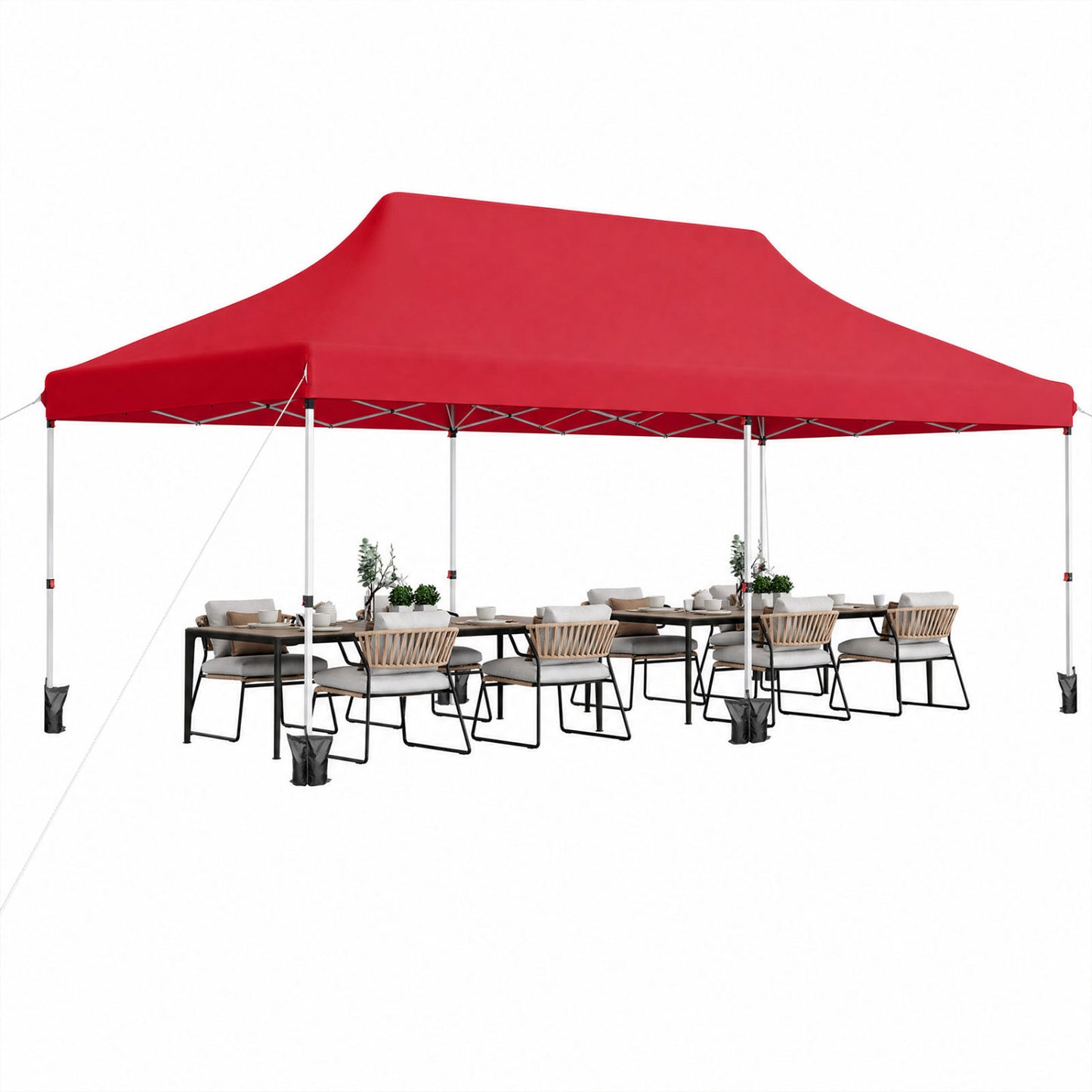 Pop Up Canopy Tent 10x20 FT with Carry Bag