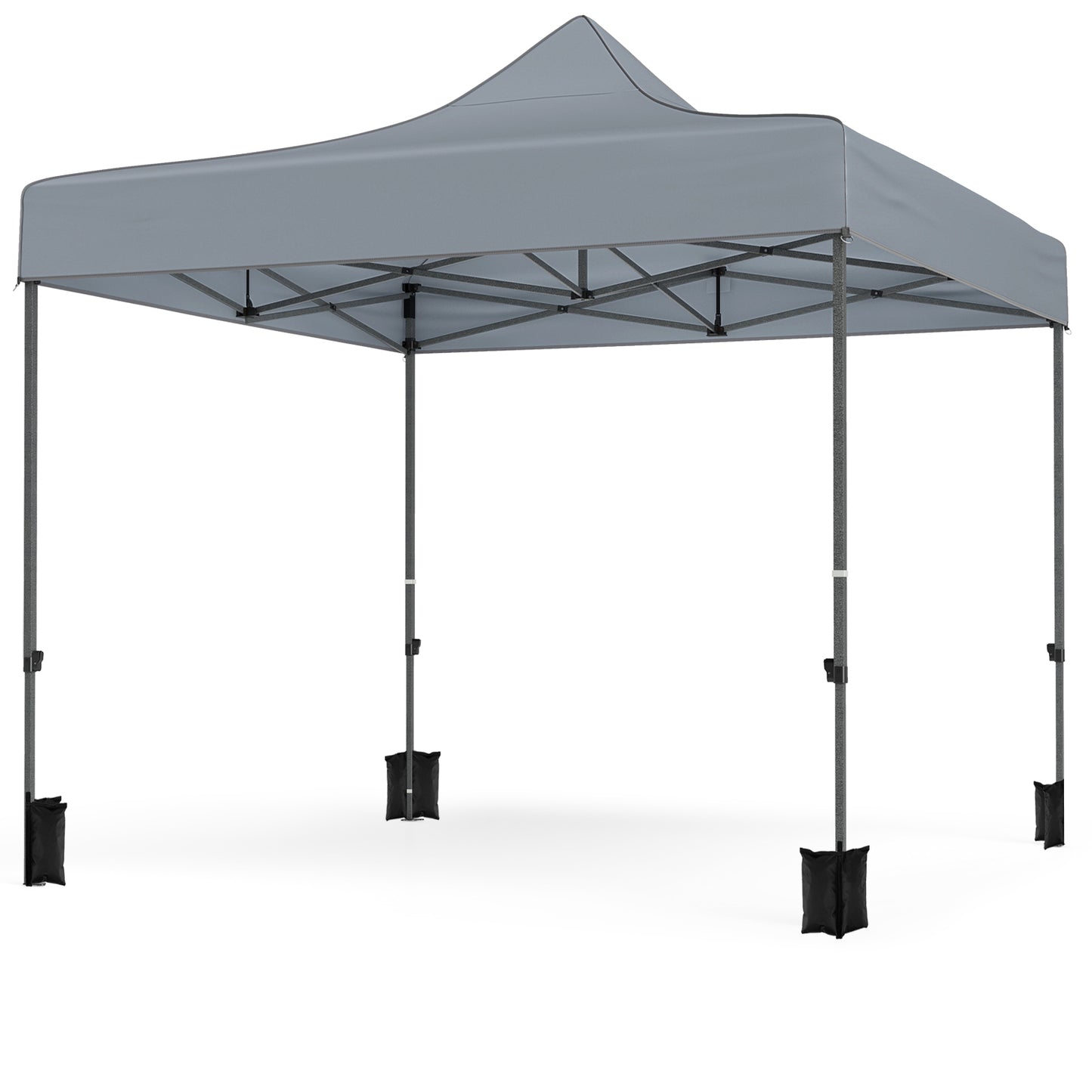 10 x 10 FT Pop up Canopy Tent with 4 Removable Sidewalls and Wheeled Bag-Gray