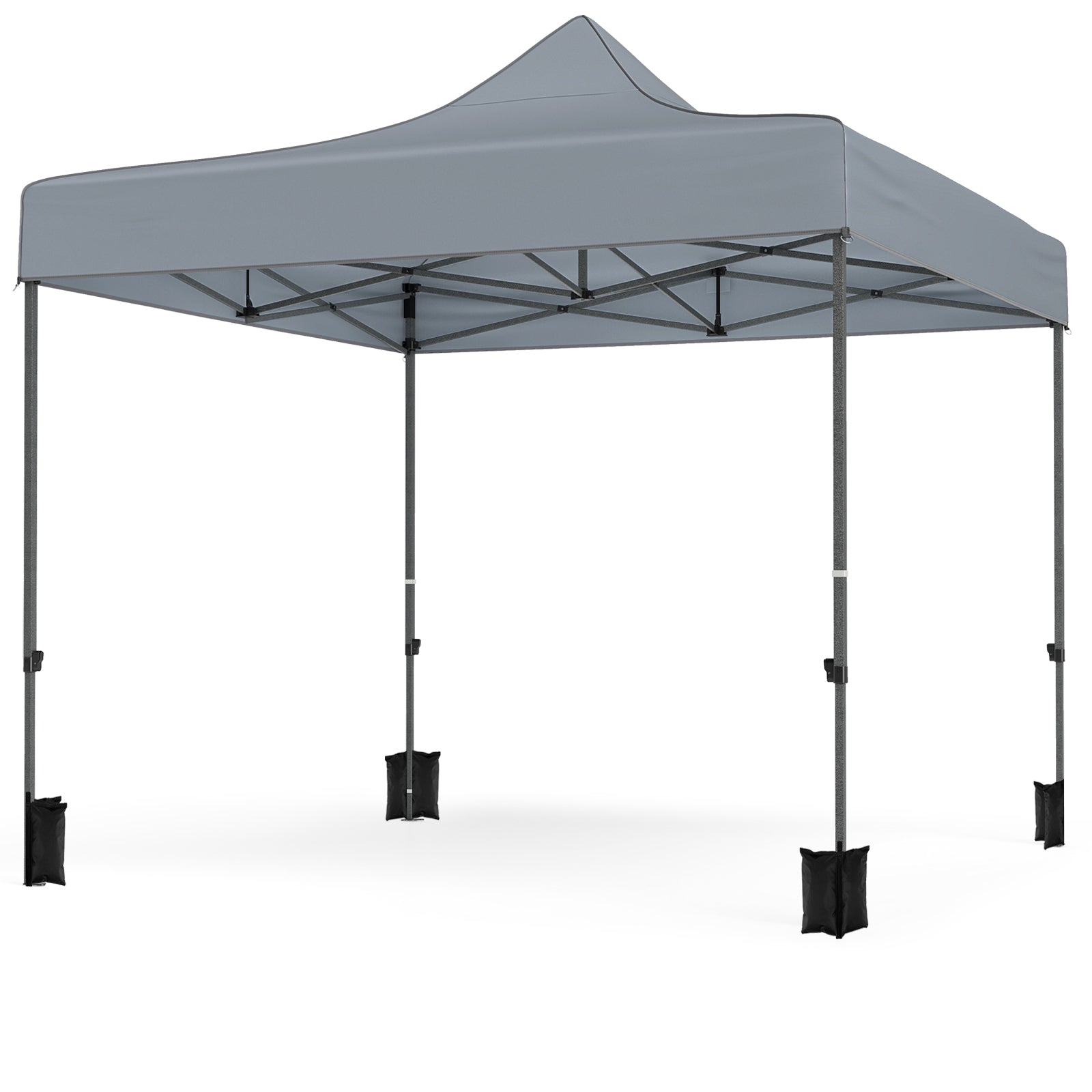 10 x 10 FT Pop up Canopy Tent with 4 Removable Sidewalls and Wheeled Bag-Gray