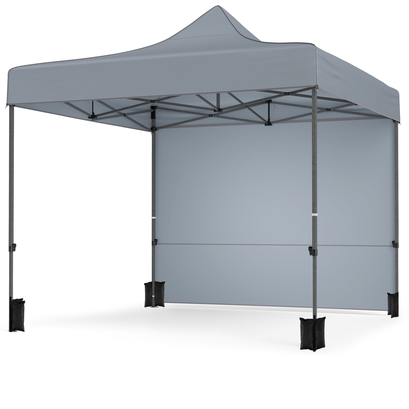 10 x 10 FT Pop up Canopy Tent with 4 Removable Sidewalls and Wheeled Bag-Gray