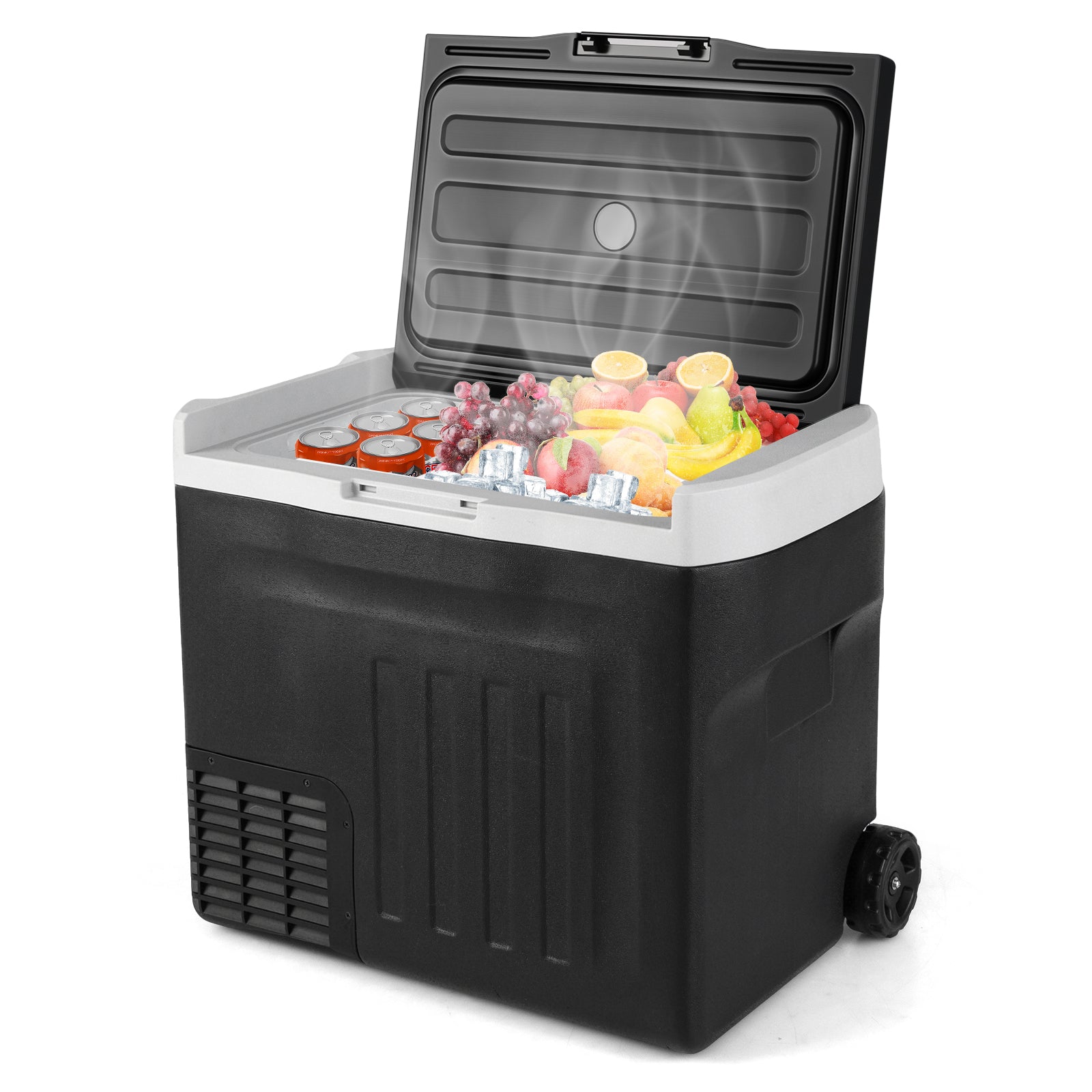 12V Car Refrigerator 32QT with Touch Panel and Removable Divider-M - L