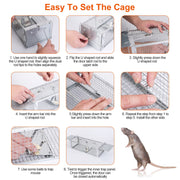 Dual Door Rat Trap Cage