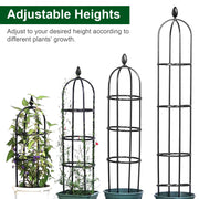 2 Packs Garden Obelisk Trellis