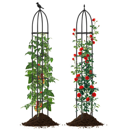 2-Pack Garden Obelisk Trellis for Climbing Plants-Black