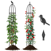 2-Pack Garden Obelisk Trellis for Climbing Plants-Black