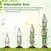2-Pack Garden Obelisk Trellis for Climbing Plants-Black
